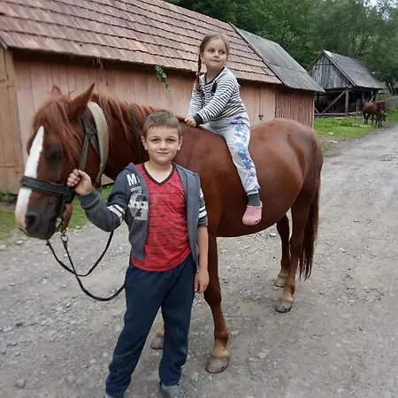 ізківський затишок село Гостьовий будинок